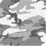 Gray Camo